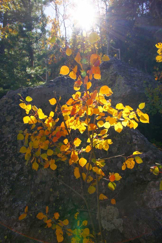 Aurora Colorado counselor Marci Bell MA LPC Christian Counseling Aurora Colorado